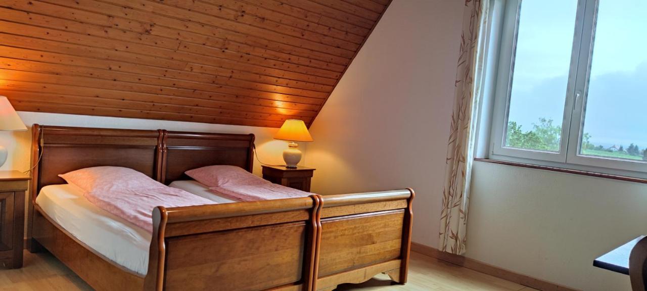 Chambre D'Hotes De La Tulipe ミッテルベルカイム エクステリア 写真