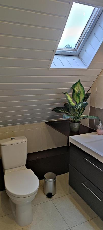 Chambre D'Hotes De La Tulipe ミッテルベルカイム エクステリア 写真