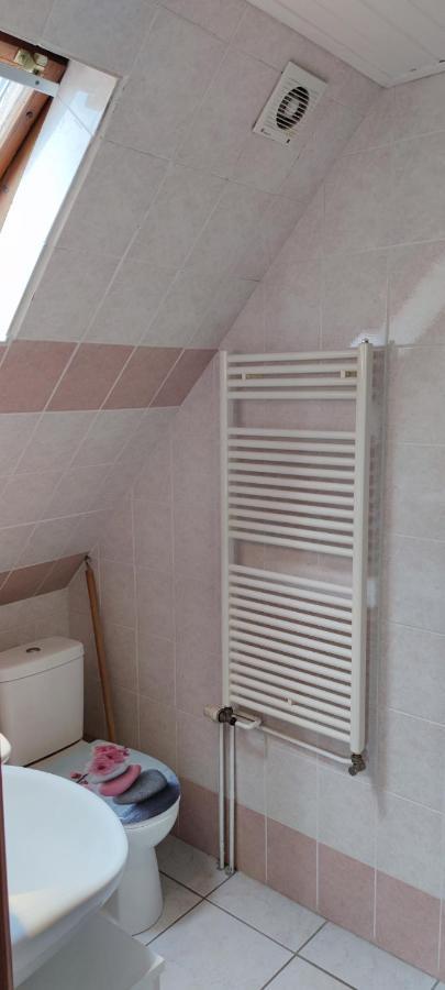 Chambre D'Hotes De La Tulipe ミッテルベルカイム エクステリア 写真