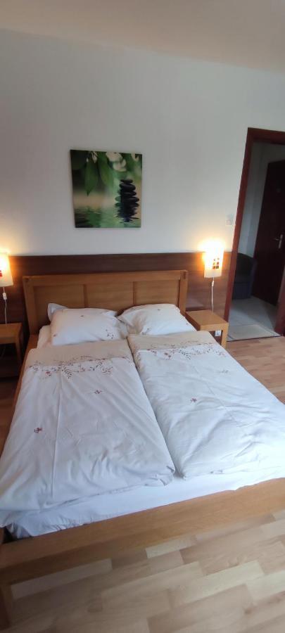 Chambre D'Hotes De La Tulipe ミッテルベルカイム エクステリア 写真