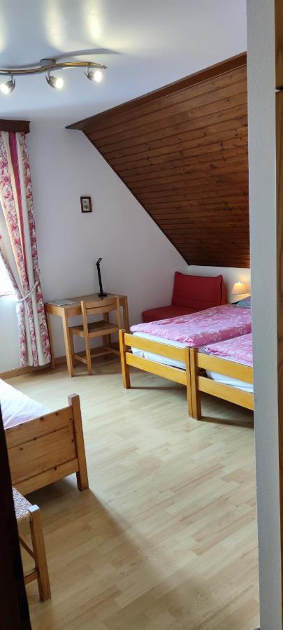 Chambre D'Hotes De La Tulipe ミッテルベルカイム エクステリア 写真