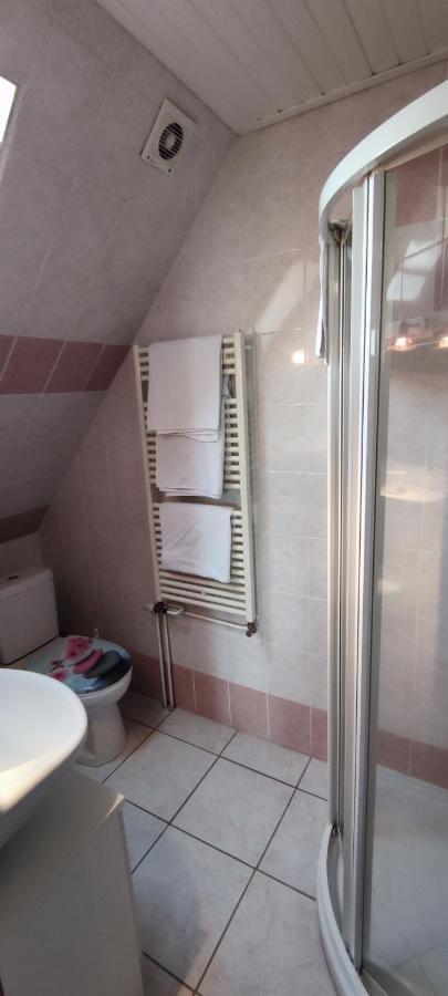Chambre D'Hotes De La Tulipe ミッテルベルカイム エクステリア 写真
