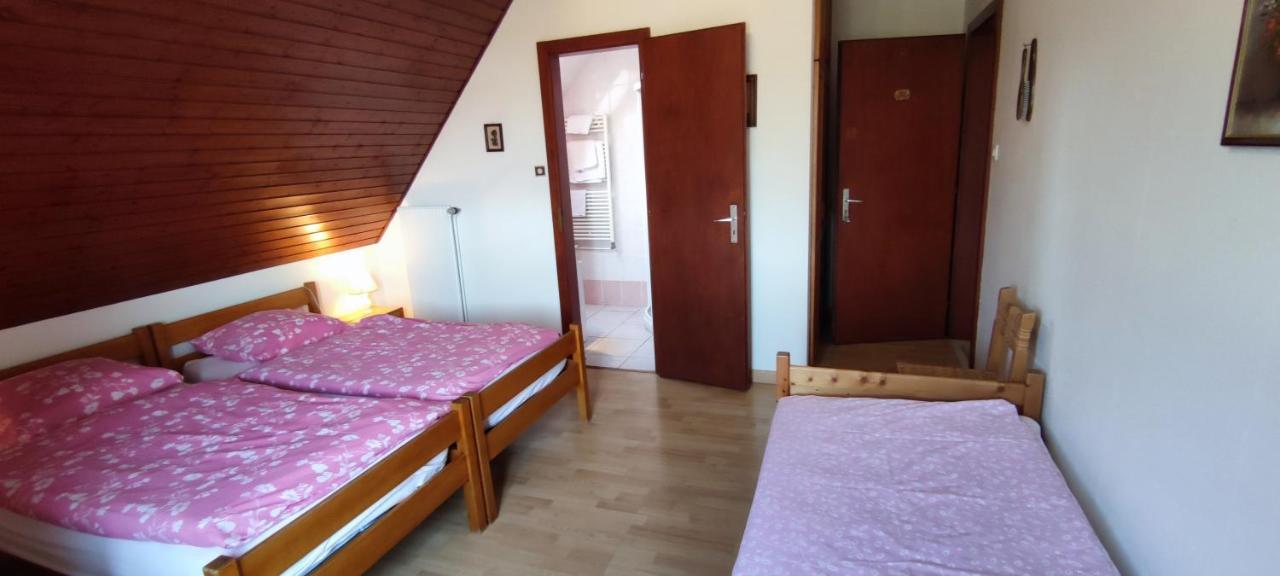 Chambre D'Hotes De La Tulipe ミッテルベルカイム エクステリア 写真